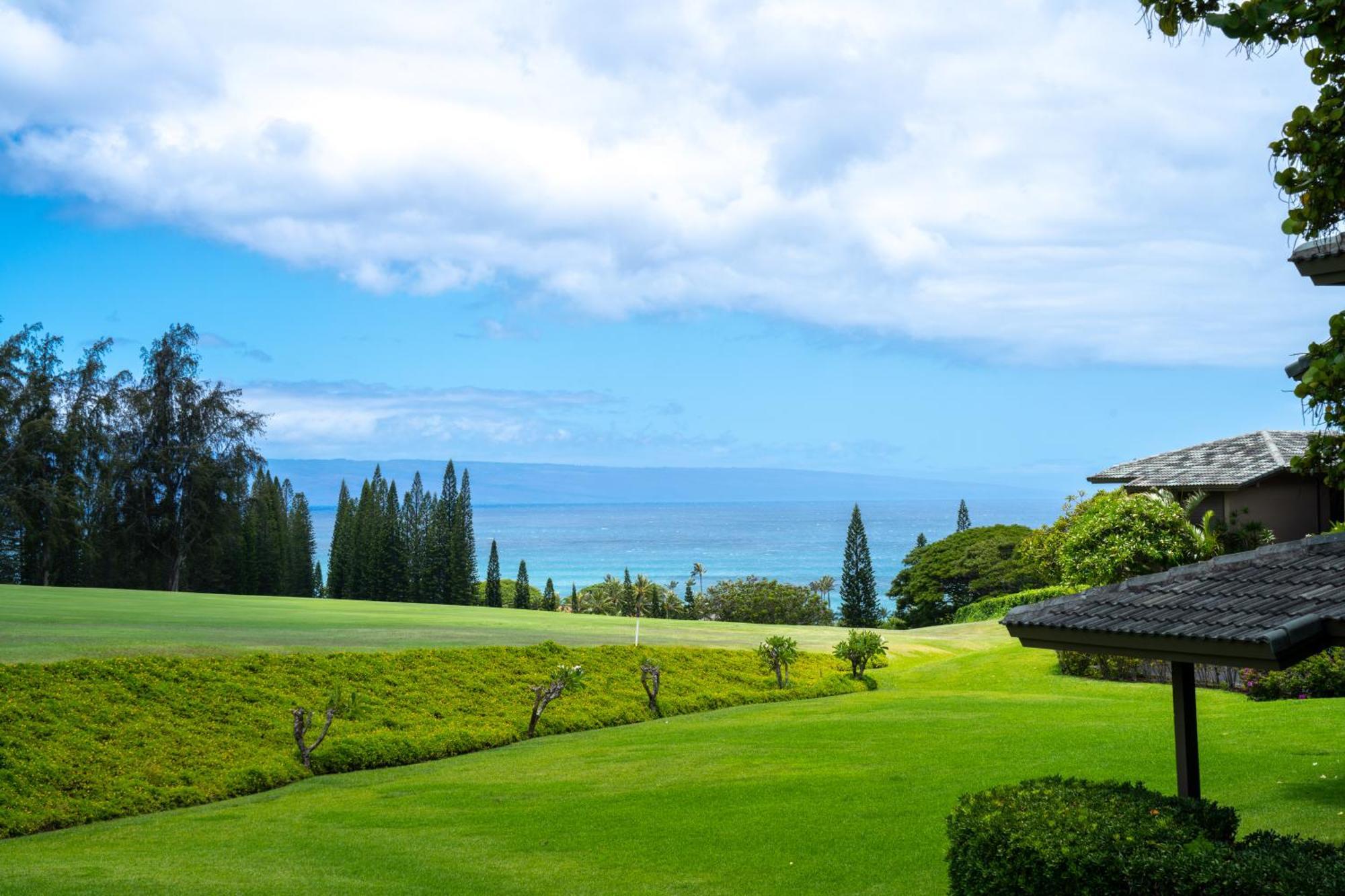 להיינה Kapalua Villas Maui מראה חיצוני תמונה