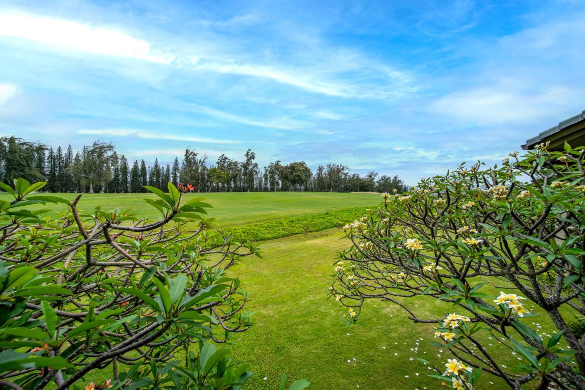 להיינה Kapalua Villas Maui מראה חיצוני תמונה